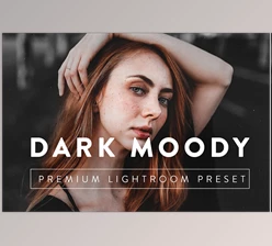 Download DARK MOODY Pro Lightroom Preset CreativeMarket-5059288 (LRTEMPLATE, XMP, DNG)