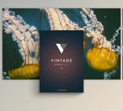 Download Mextures Overlays – Vintage (Photoshop, Affinity Photo)