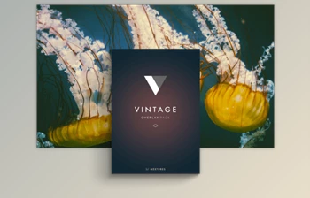 Download Mextures <span class='badge badge-warning'>Overlays</span> – Vintage (<span class='badge badge-warning'>Photoshop</span>, Affinity Photo)