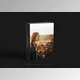 Download LIGHT LEAKS OVERLAYS (Sellfy) - JPG