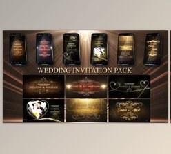 Download Wedding Invitation Pack (Videohive 23825150) - AE Project