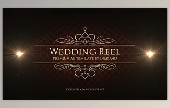 Download <span class='badge badge-warning'>Wedding</span> Reel (Videohive 11612530) - AE Project