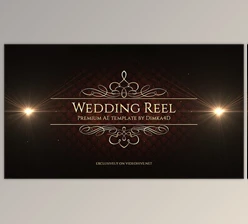 Download Wedding Reel (Videohive 11612530) - AE Project