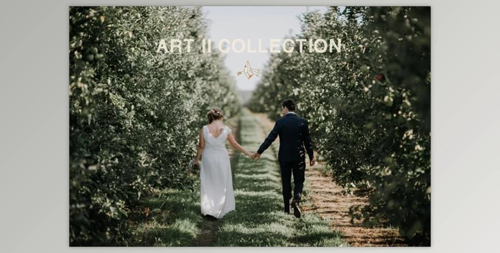 Download Vivid Presets – Art Collection I & II (Lrtemplate)