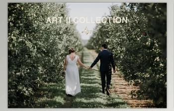 Download Vivid Presets – Art <span class='badge badge-warning'>Collection</span> I & II (Lrtemplate)