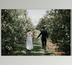 Download Vivid Presets – Art Collection I & II (Lrtemplate)