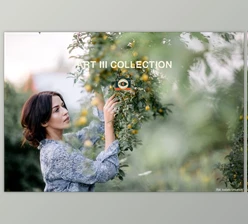Download ART III COLLECTION - Vividpresets (XMP) Lightroom