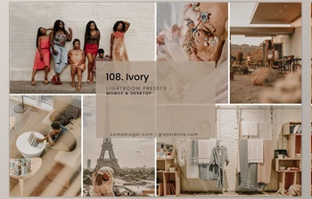 Download 108. Ivory Presets CreativeMarket-5741231 (<span class='badge badge-warning'>XMP</span>, DNG, PDF)