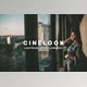 Download CINELOOK LIGHTROOM PRESETS CreativeMarket-5756350 (lrtemplate, DNG)