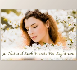 Download 30 Natural Look Presets for Lightroom CreativeMarket-5747300 (LRTEMPLATE)