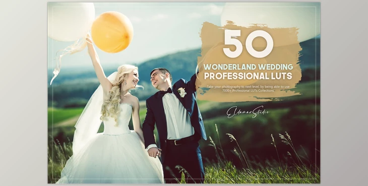 Download 50 Wonderland Wedding LUTs Pack CreativeMarket-5754967 (XMP, LRTEMPLATE, JPG)