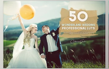Download 50 Wonderland Wedding LUTs Pack <span class='badge badge-warning'>CreativeMarket-5754967</span> (XMP, LRTEMPLATE, JPG)