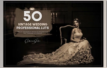 Download 50 Vintage <span class='badge badge-warning'>Wedding</span> LUTs Pack CreativeMarket-5754956 (XMP, LRTEMPLATE, JPG)