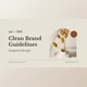 Download Clean Brand Guidelines (Videohive 30089681) - AE Project