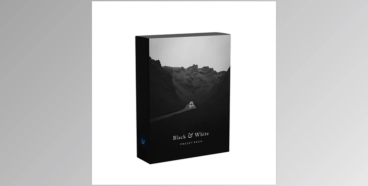 Download Bradmatthews – Black & White Preset Pack (DNG, XMP)