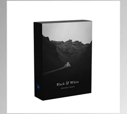 Download Bradmatthews – Black & White Preset Pack (DNG, XMP)