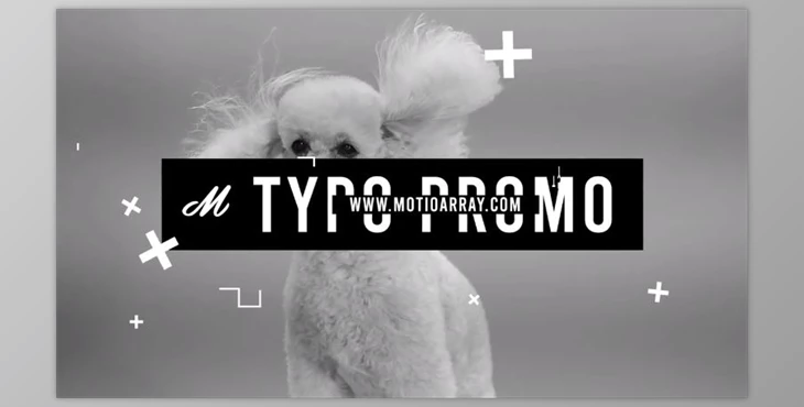 Download Typo Promo (Motionarray 843329) - AE Project
