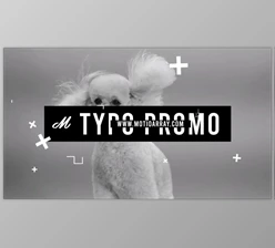 Download Typo Promo (Motionarray 843329) - AE Project