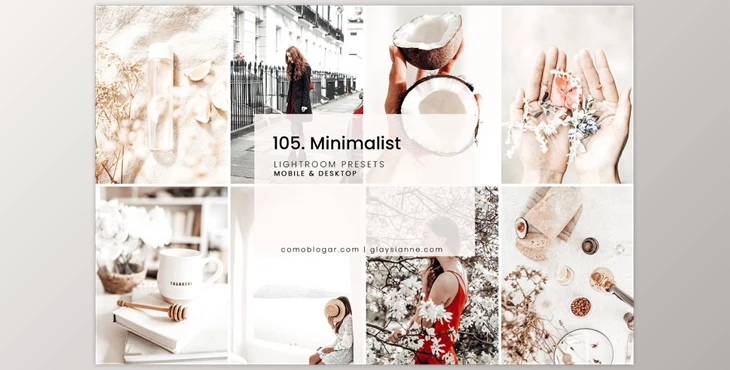 Download 105. Minimalist CreativeMarket-5492485 (XMP, DNG)