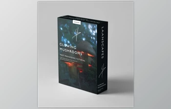 Download Laanscapes – Glowing Mushrooms Processing Video (<span class='badge badge-warning'>MP4</span>, JPG, PSD)