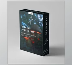 Download Laanscapes – Glowing Mushrooms Processing Video (MP4, JPG, PSD)