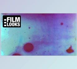 Download Filmlooks – THE BLEACHED FILM COLLECTION (MOV)