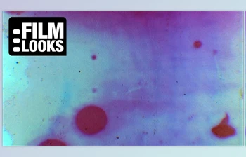 Download Filmlooks – THE BLEACHED <span class='badge badge-warning'>FILM</span> <span class='badge badge-warning'>COLLECTION</span> (MOV)