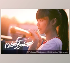 Download Retro Vintage Color Lookup Bundle