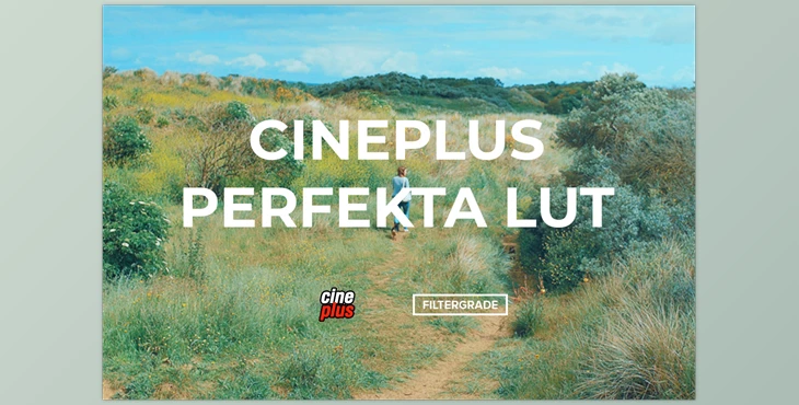 Download Cineplus Perfekta LUT (filtergrade)