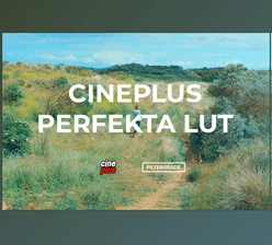 Download Cineplus Perfekta LUT (filtergrade)