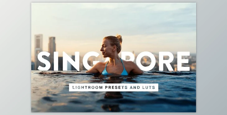 Download 50 Singapore Lightroom Presets LUTs (XMP, PNG, DNG, PDF, ZIP)