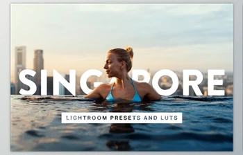 Download 50 Singapore Lightroom Presets LUTs (XMP, <span class='badge badge-warning'>PNG</span>, DNG, <span class='badge badge-warning'>PDF</span>, ZIP)