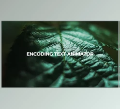Download Encoding Text Animator (Motionarray 905720) - AE Project