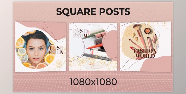 Download Square Posts (Motionarray 903492) - AE Project