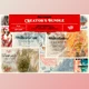 Download Photoshop Creator’s Bundle - 7 in 1 CreativeMarket-5333904 (XMP, DNG)