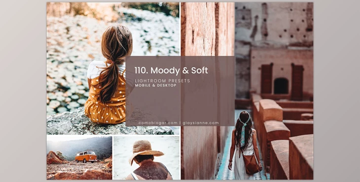 Download 110. Moody & Soft CreativeMarket-5741303 (XMP, DNG)
