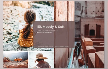 Download 110. Moody & Soft CreativeMarket-5741303 (XMP, <span class='badge badge-warning'>DNG</span>)