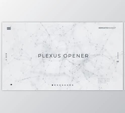 Download White Plexus Opener (Videohive 21974671) - AE Project