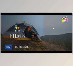 Download mLut Film 3 From MotionVFX