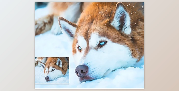 Download Wild Paint Photoshop Action GraphicRiver-29744891 (ATN)