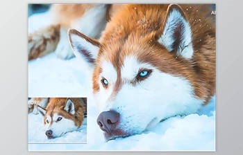 Download <span class='badge badge-warning'>Wild</span> Paint Photoshop Action GraphicRiver-29744891 (ATN)