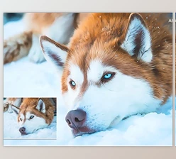 Download Wild Paint Photoshop Action GraphicRiver-29744891 (ATN)