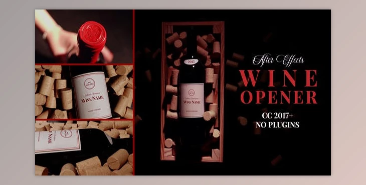 Download The Wine Project (Videohive 30196488) - AE Project