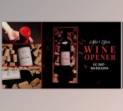 Download The Wine Project (Videohive 30196488) - AE Project
