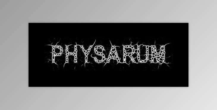 Download Aescripts Physarum v1.3 for After Effects (Win, Mac)