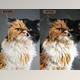 Download Real Paint – Photoshop Action – GraphicRiver 29809568
