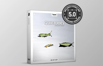 Download QUIETUDES By <span class='badge badge-warning'>BoomLibrary</span> 