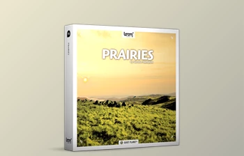 Download <span class='badge badge-warning'>Boom</span> <span class='badge badge-warning'>Library</span> – Prairies WAV (Windows, Mac)