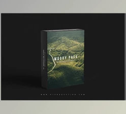 Sellfy – Moody Collection Preset