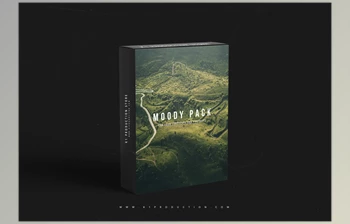 <span class='badge badge-warning'>Sellfy</span> – Moody Collection Preset